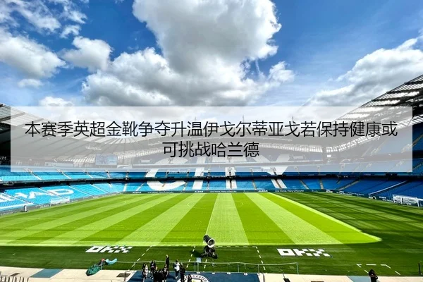 本赛季英超金靴争夺升温伊戈尔蒂亚戈若保持健康或可挑战哈兰德